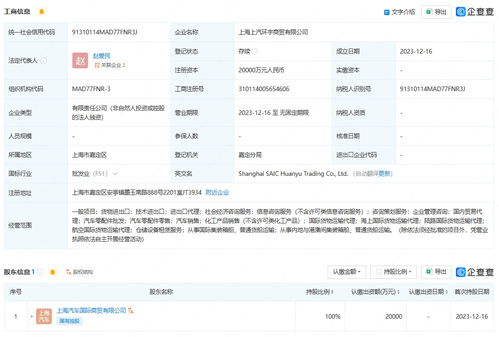 上汽集團(tuán)成立商貿(mào)新公司，拓展信息咨詢(xún)服務(wù)業(yè)務(wù)