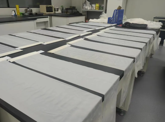 南通生物制造的奇幻密碼 從細胞工廠到基因探針